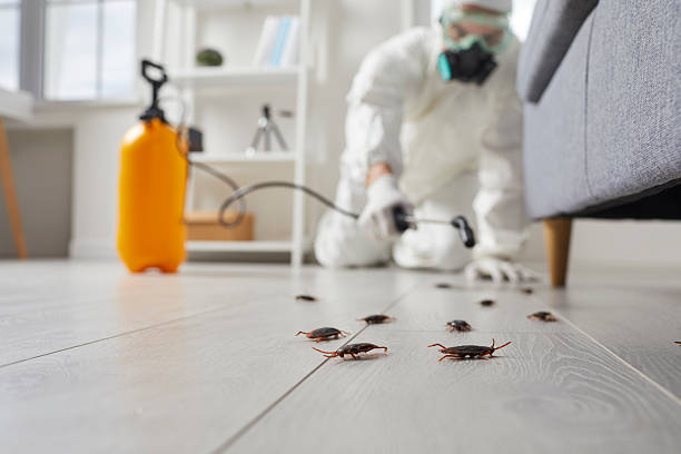 Post-Treatment Bed Bug Interceptor Monitoring in Navajo