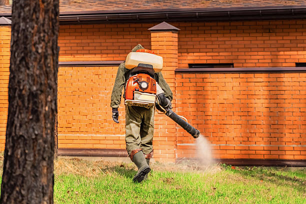 Bed Bug Clearance Verification and Documentation in Navajo